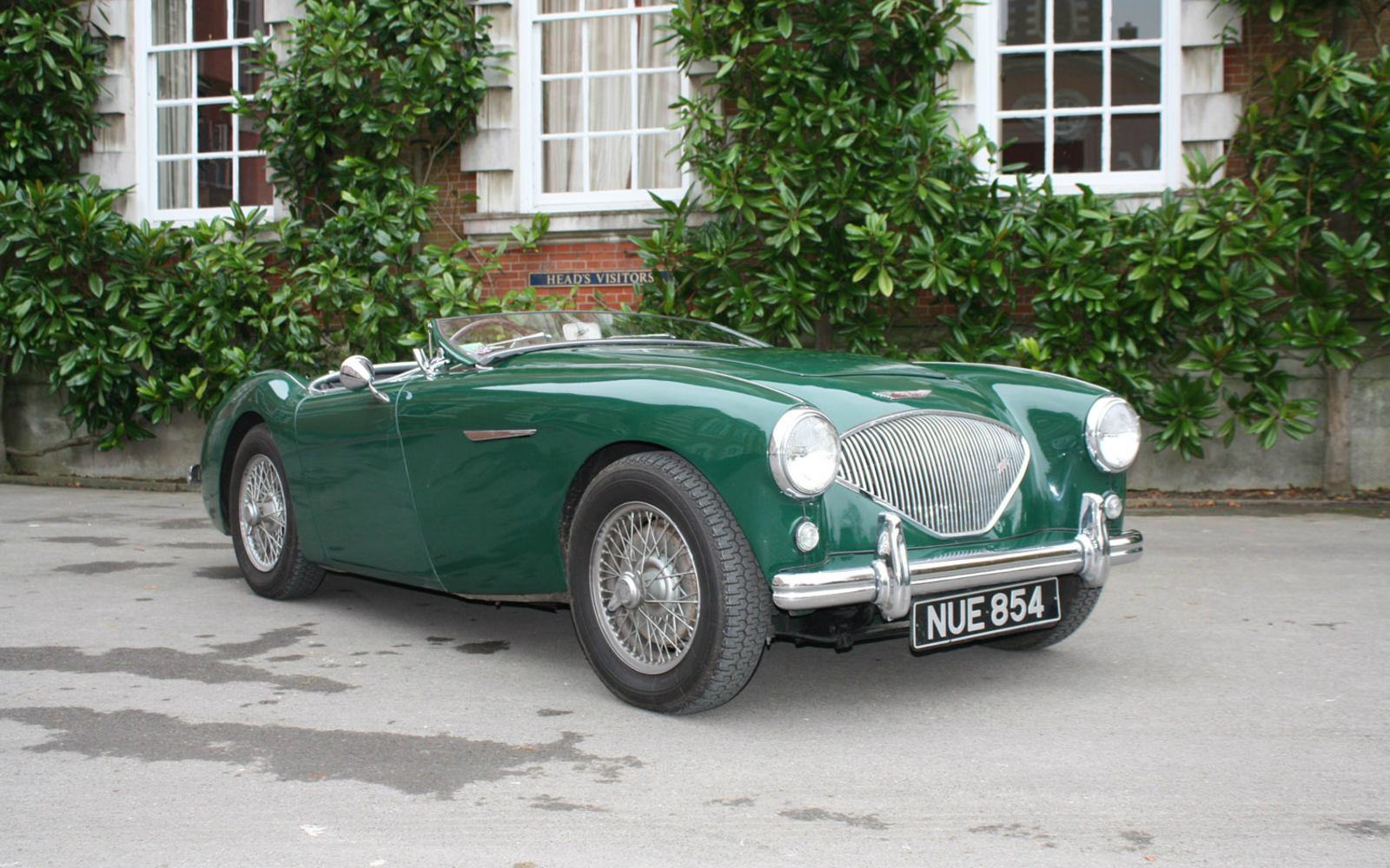 The 'hairy chested' Austin Healey 