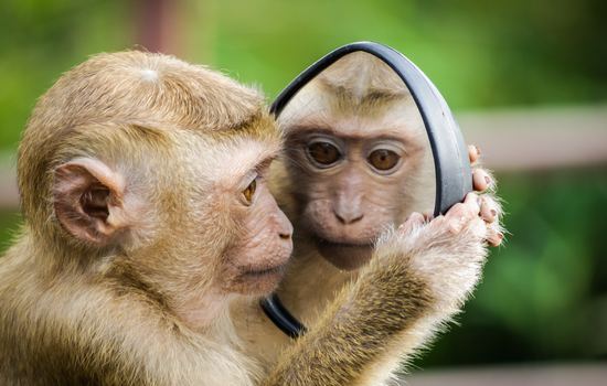 Tell Tale Signs of Middle Age – According to New Study