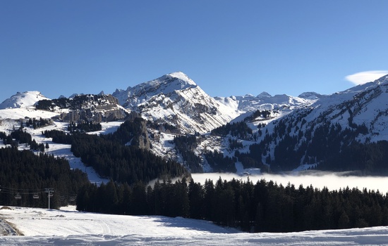 Tips for the Newbie Piste-basher